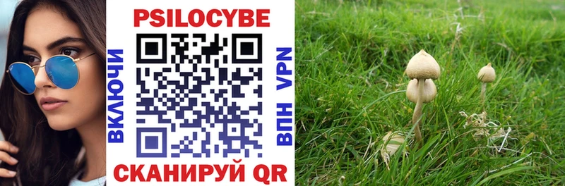 Галлюциногенные грибы Psilocybine cubensis  наркошоп  Фролово 